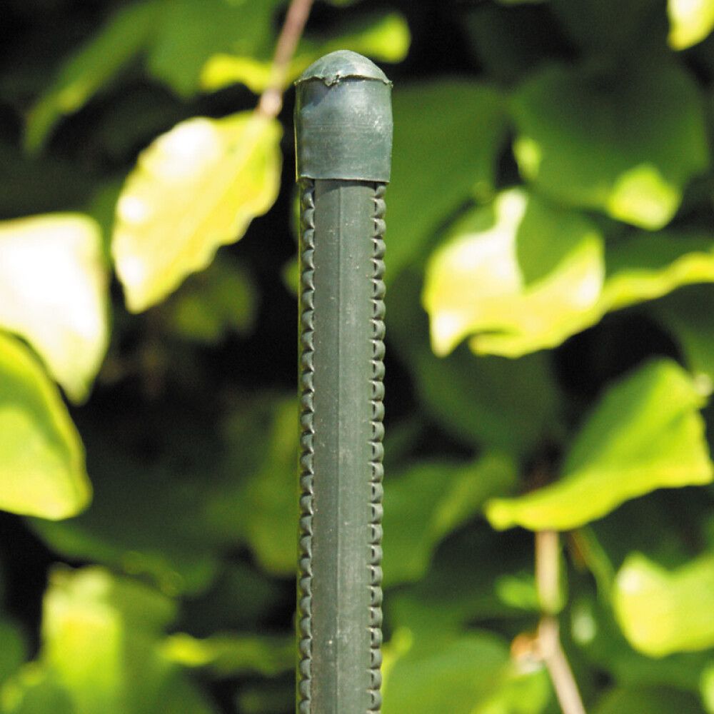 Kasvi-/aitatolppa Muovitettu 13 mm x 150 cm Vihreä