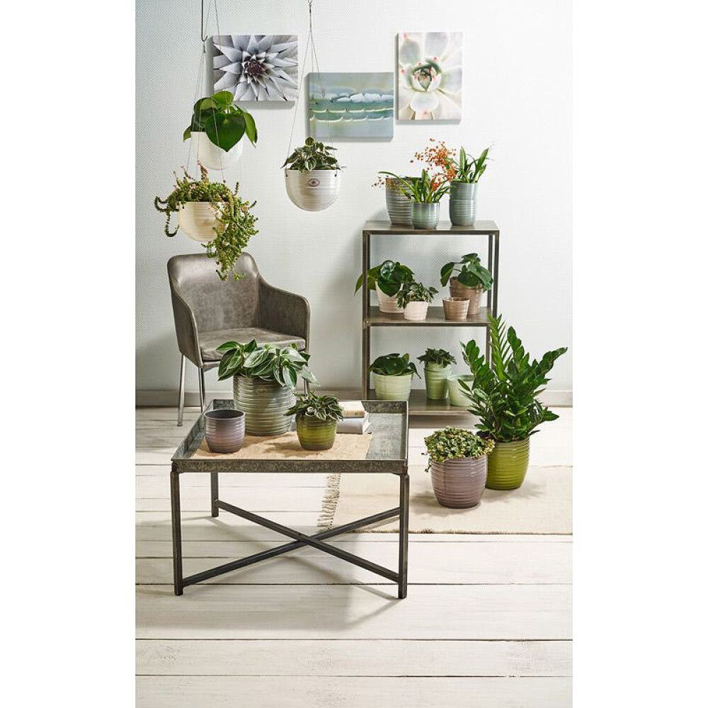 Suojaruukku Bergamo mintunvihreä 21 cm