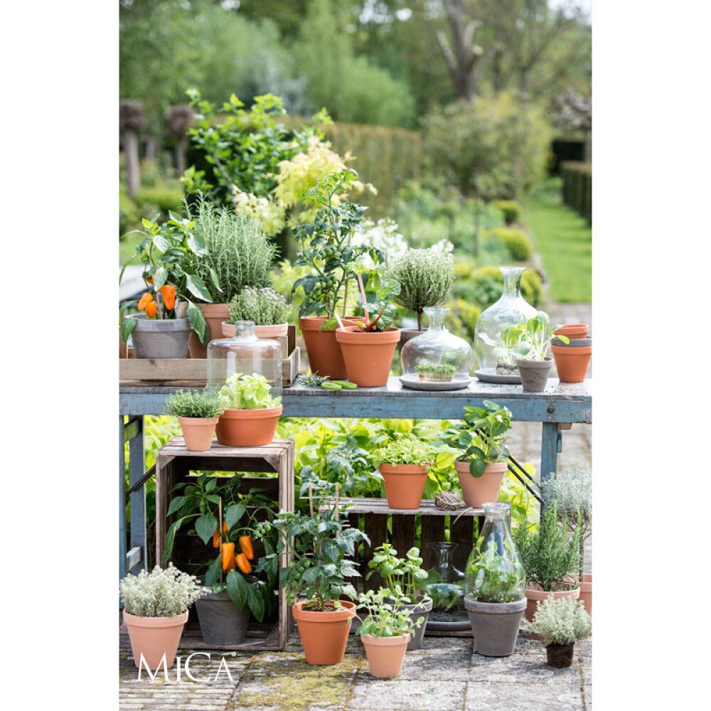 Saviruukku Stan terra 15,5 cm