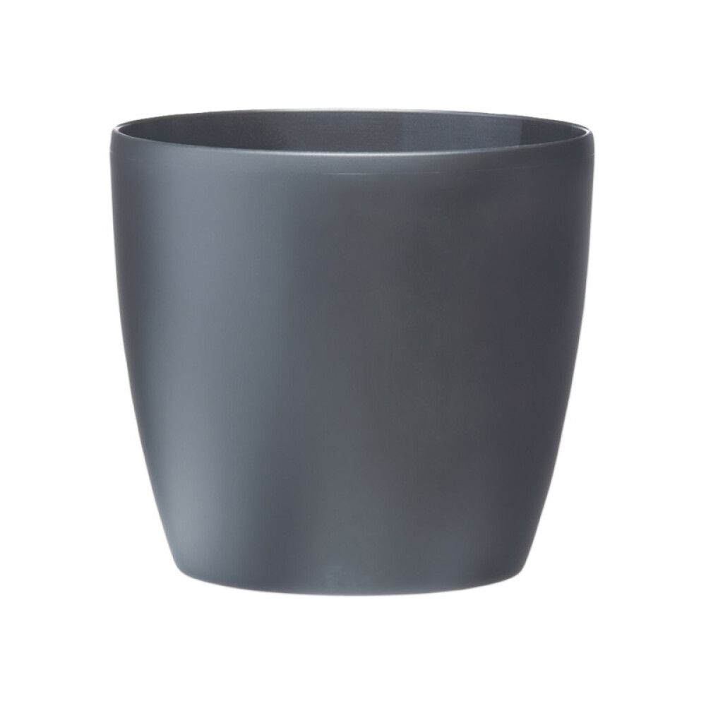 Suojaruukku Elho Brussels antrasiitti 18 cm