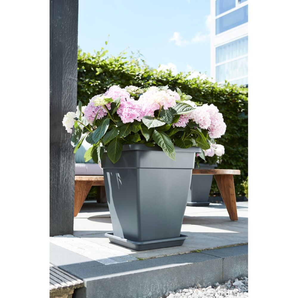 Aluslautanen Elho Universal antrasiitti 35 x 35 cm