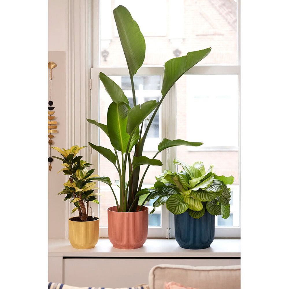 Suojaruukku Elho Vibes Fold 14 cm vaaleanpunainen