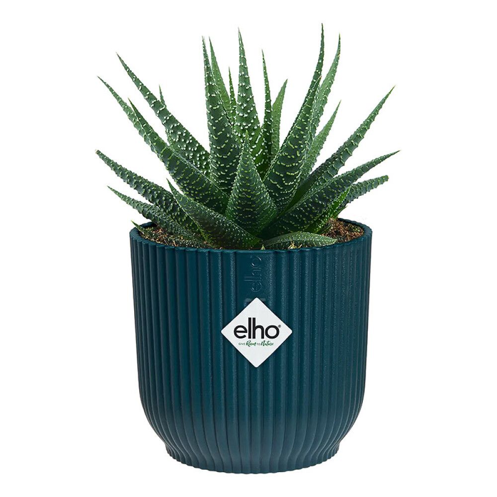 Suojaruukku Elho Vibes Fold 7 cm sininen