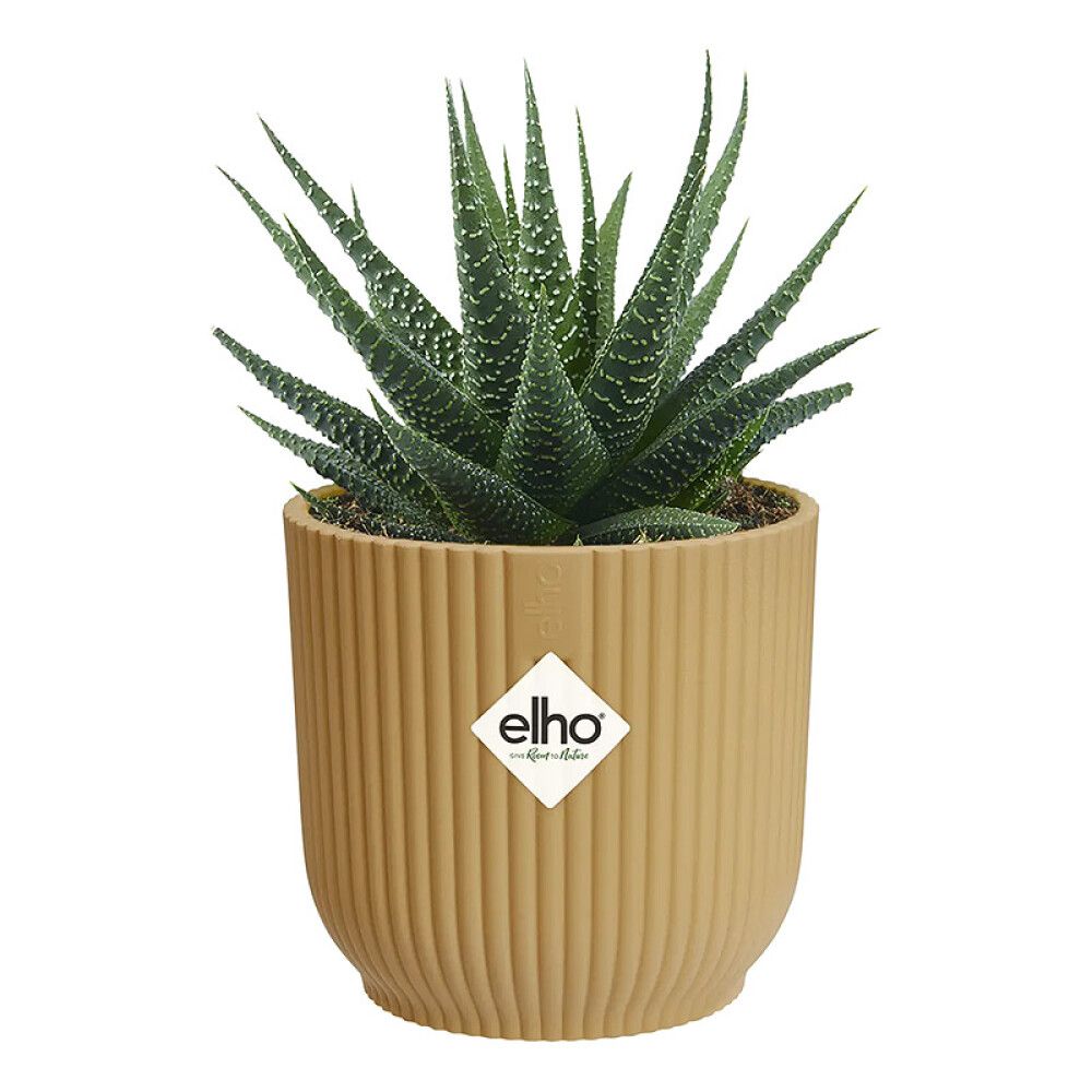 Suojaruukku Elho Vibes Fold 7 cm keltainen