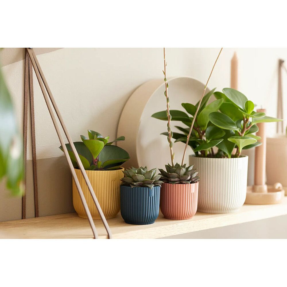 Suojaruukku Elho Vibes Fold 11 cm pinkki