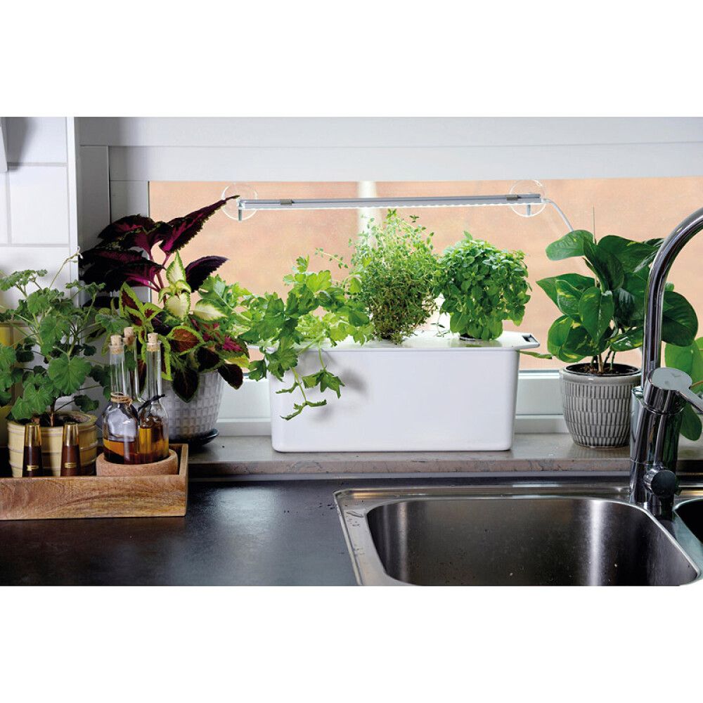 Vesiviljelypakkaus Harvy3 valkoinen