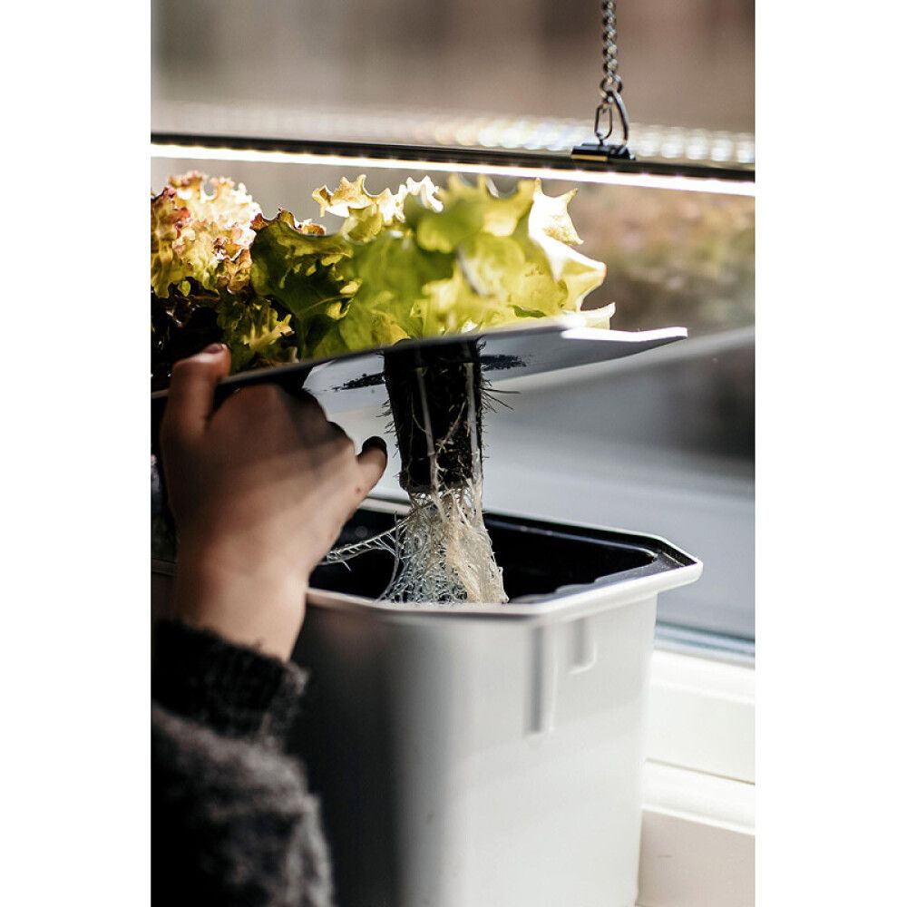 Vesiviljelypakkaus Harvy3 valkoinen