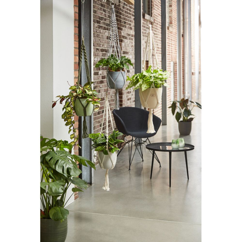 Naruamppeli  90 cm harmaa