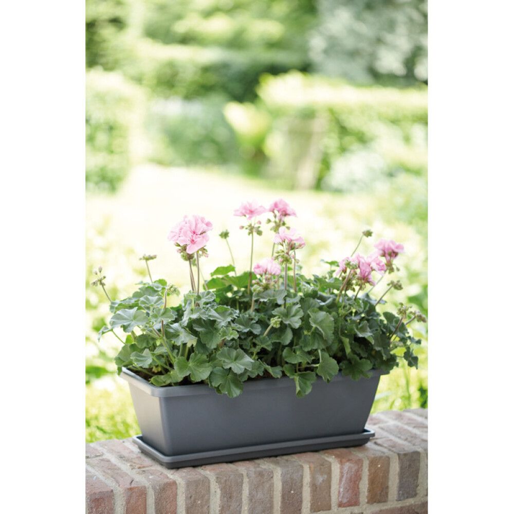 Parvekelaatikko Elho Barcelona 50 cm valkoinen