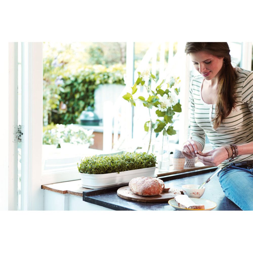 Aluslautanen Elho L 51 x 19 cm