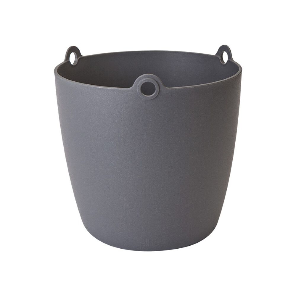 Amppeli Elho Brussels antrasiitti 18 cm