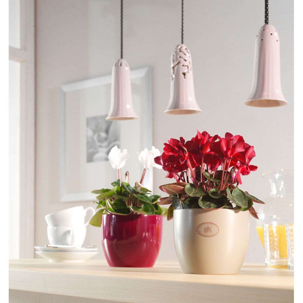 Suojaruukku Basel Fashion musta 21 cm