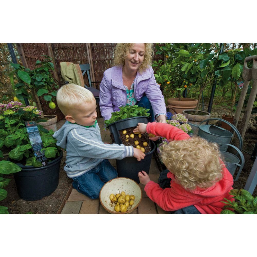 Perunankasvatus ruukku 30 x 27 cm