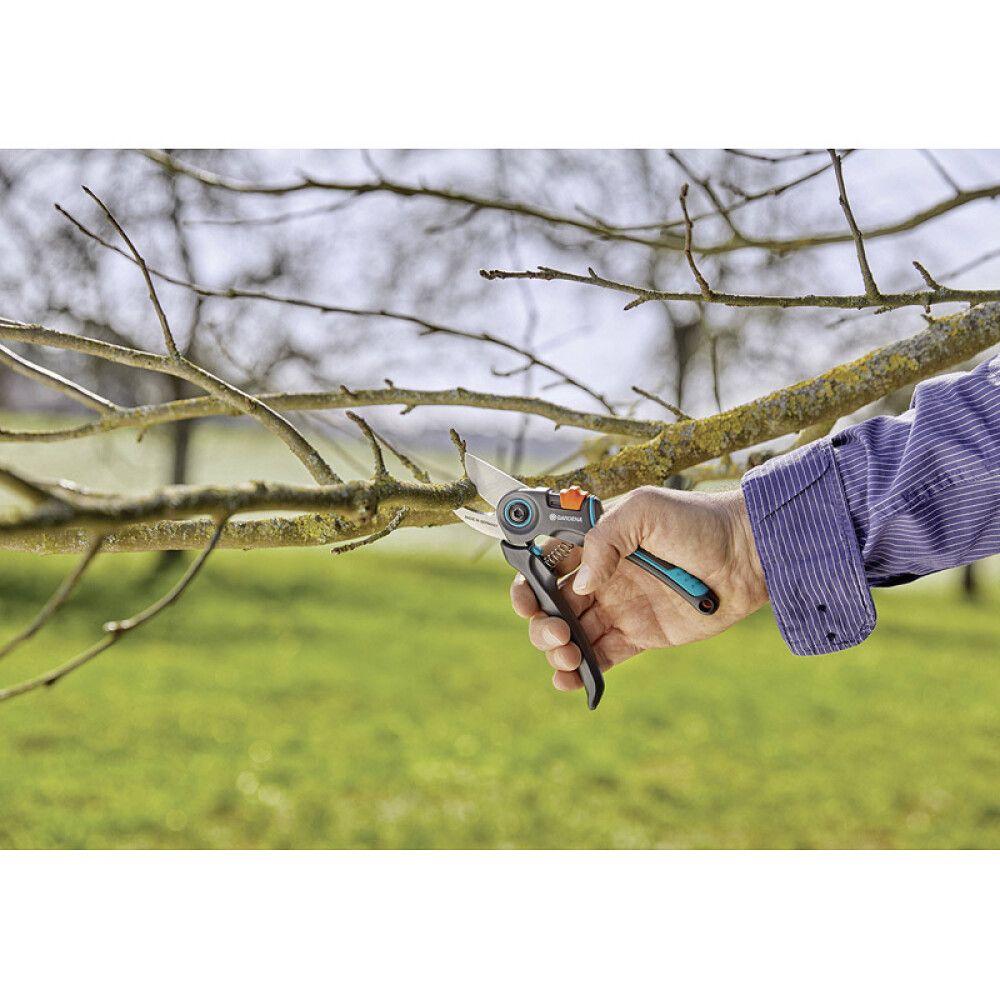 Oksasakset Gardena ExpertCut