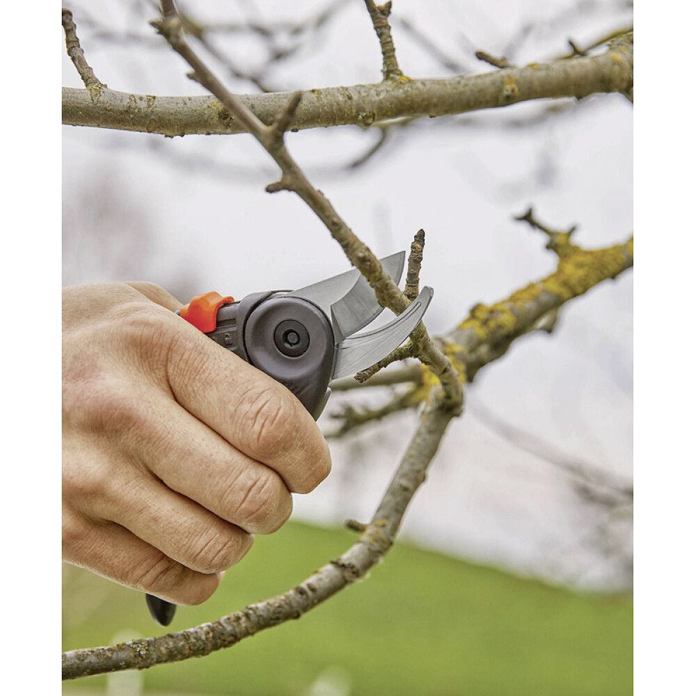 Oksasakset Gardena ExpertCut