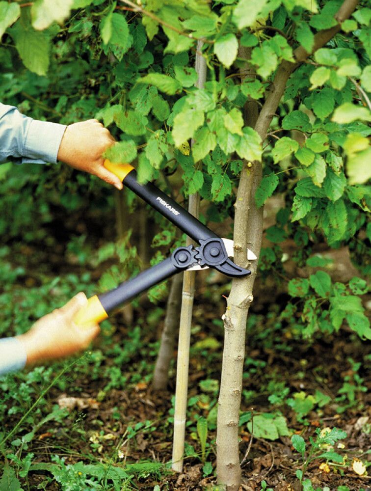 Voimasakset Fiskars PowerGear