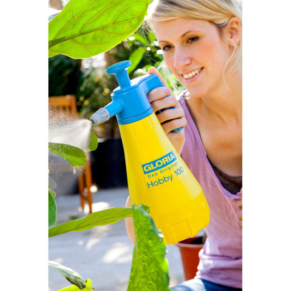 Painesumutin Gloria Hobby 100