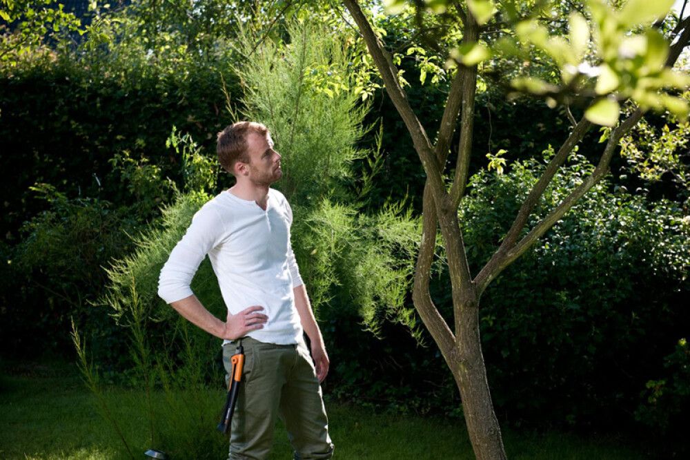 Iso Puutarhasaha Fiskars Xtract SW75