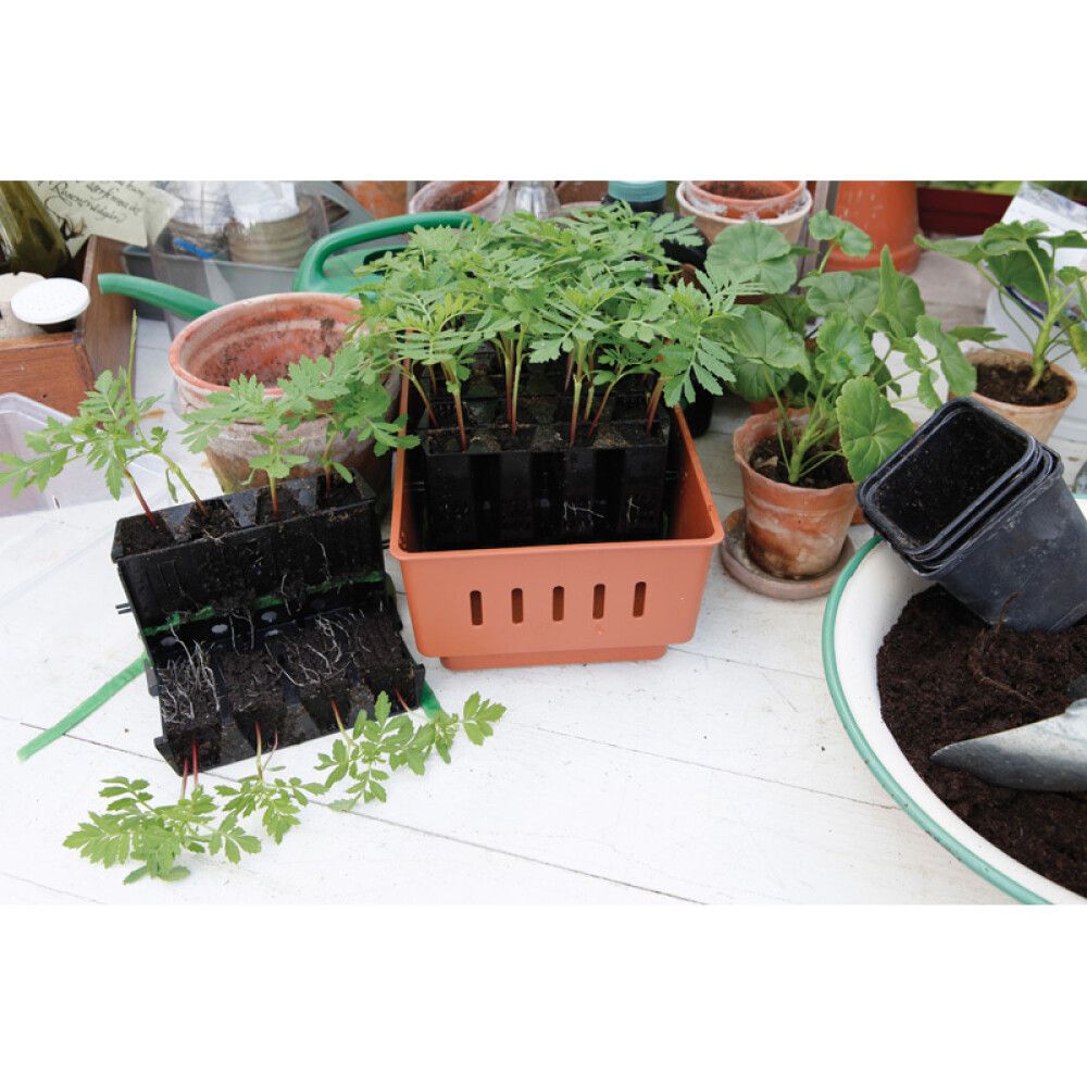 Pienoiskasvihuone 19,5 x 29 x 21 cm