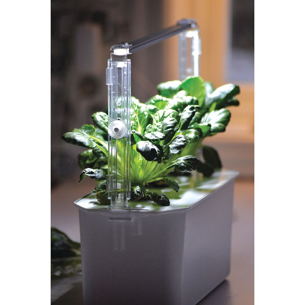 Ripustin Harvy3 vesiviljelylaatikolle