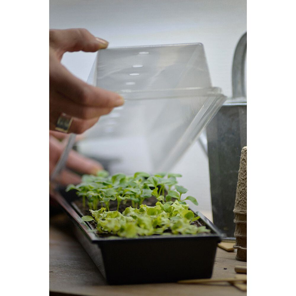 Pienoiskasvihuone Solid 14 x 68 x 6 cm kennostolla