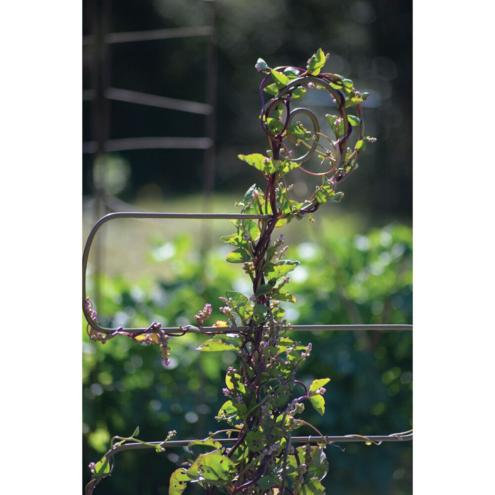 Ruukkusäleikkö Elements 40 cm