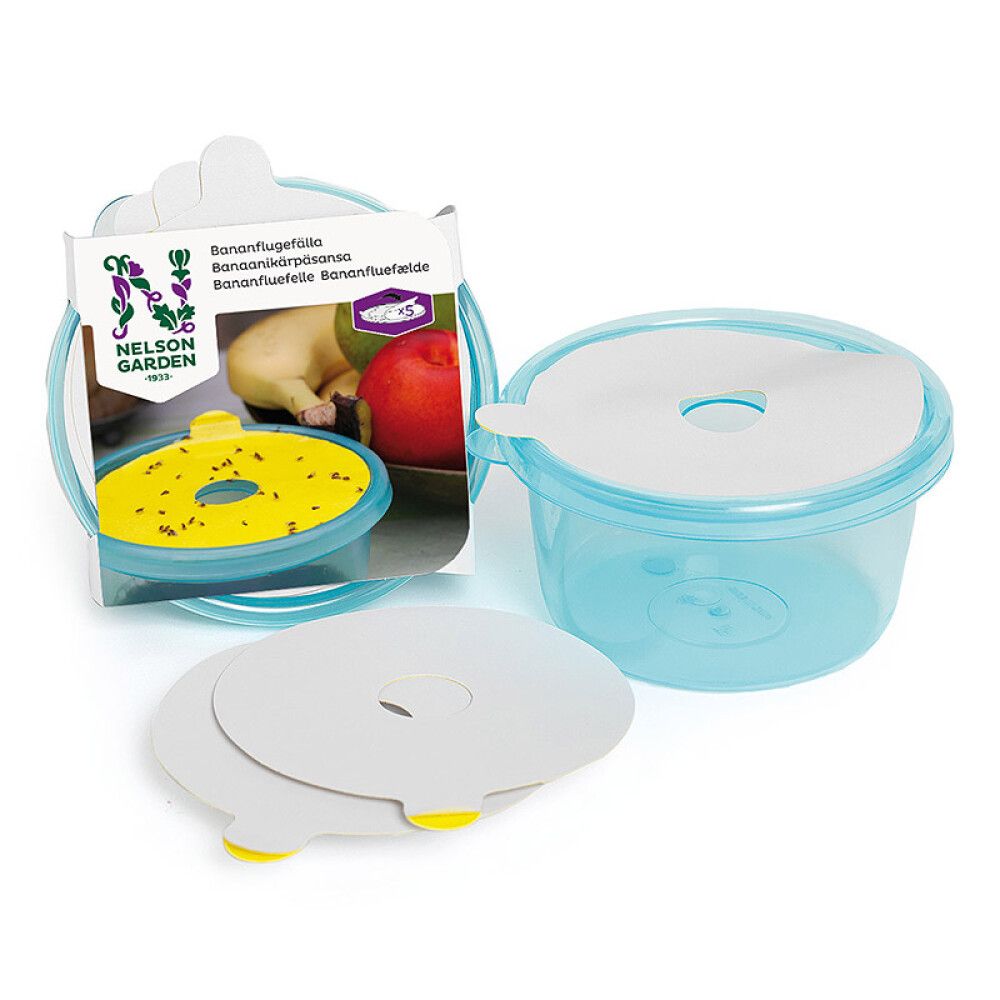 Kärpäsansa banaanikärpäsille