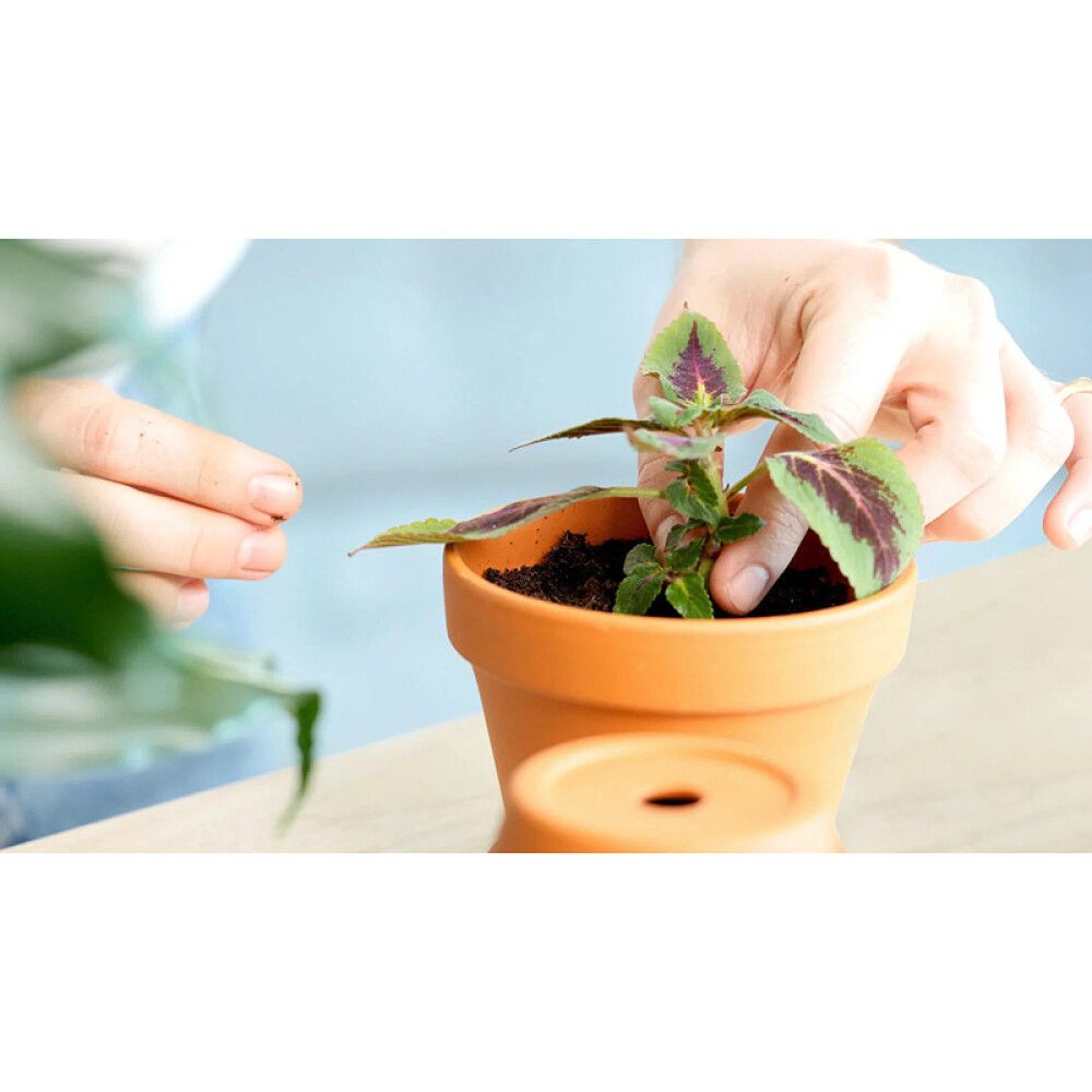 Kylvömulta Nelson Garden Seed Premium 4 l