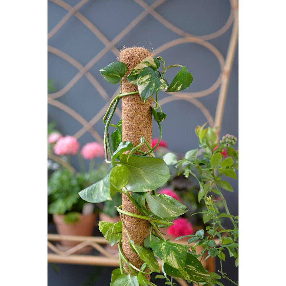 Kookostukikeppi 70 cm