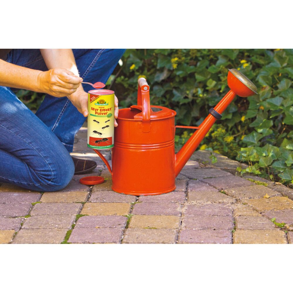 Muurahaissirote Loxiran S 500 g