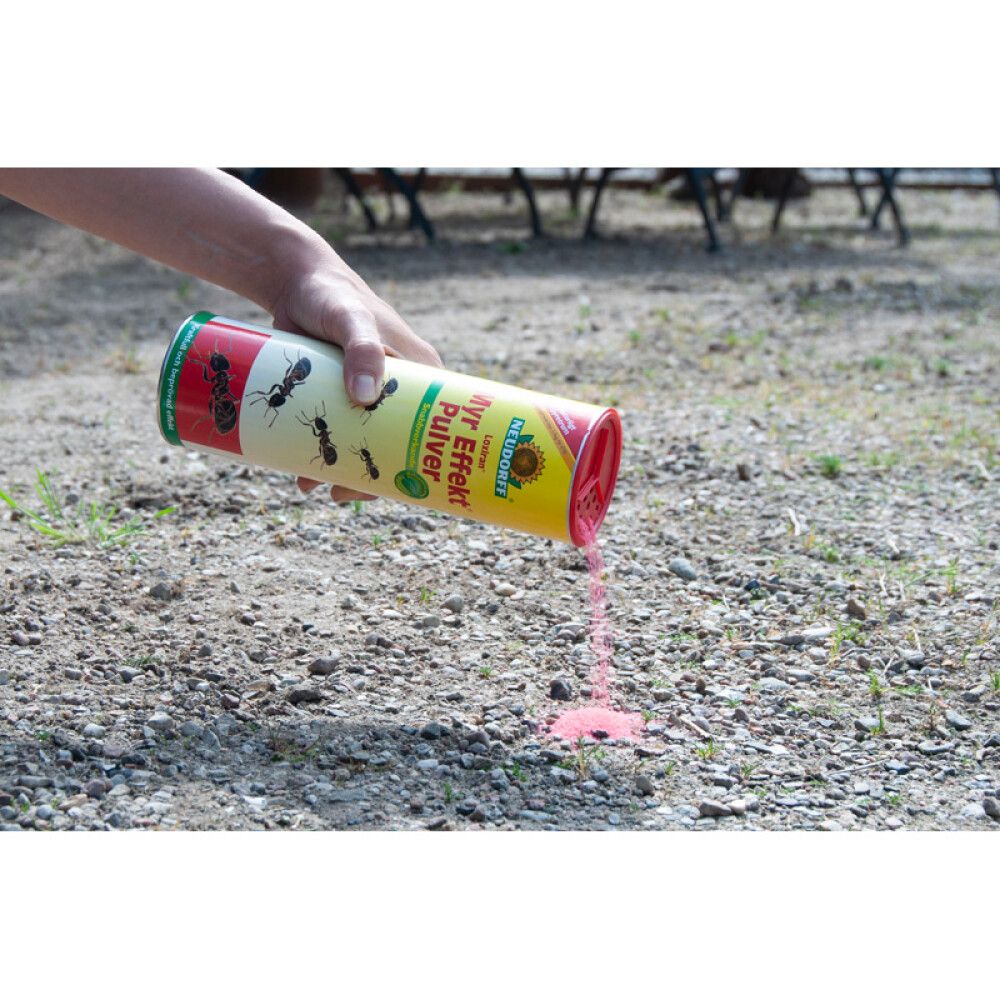 Muurahaissirote Loxiran S 500 g