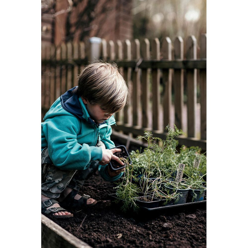 Taimikasvatuslaatikko Solid 37 x 23 cm