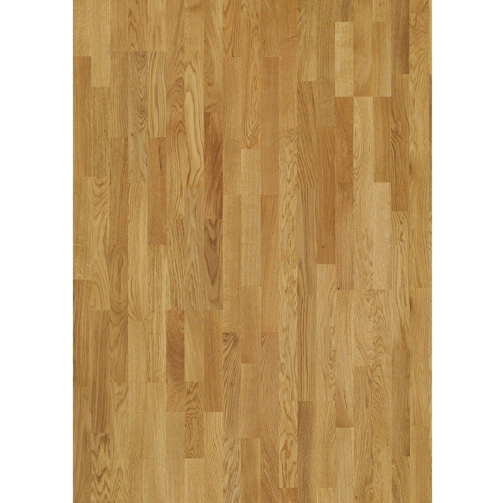Parketti Parador Basic 11-5 Oak Nature Lacquered