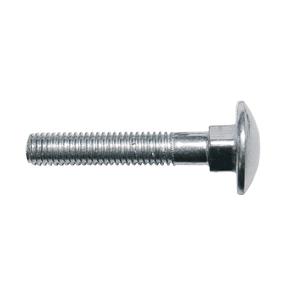 Lukkoruuvi Profi Depot A2, DIN603, 8 x 100 mm 25 kpl