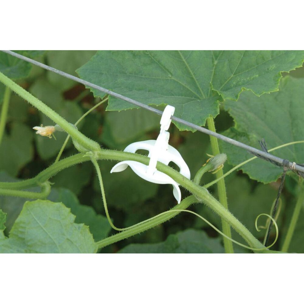 Kasvatuslankarulla setti Palram-Canopia