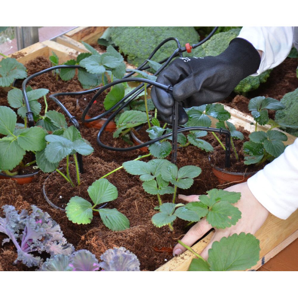 Tippukastelujärjestelmä Palram-Canopia 10 m