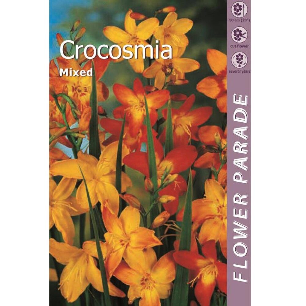 Kevätkukkasipuli Kapiteyn Ruostekukka Crocosmia Mix 5 kpl