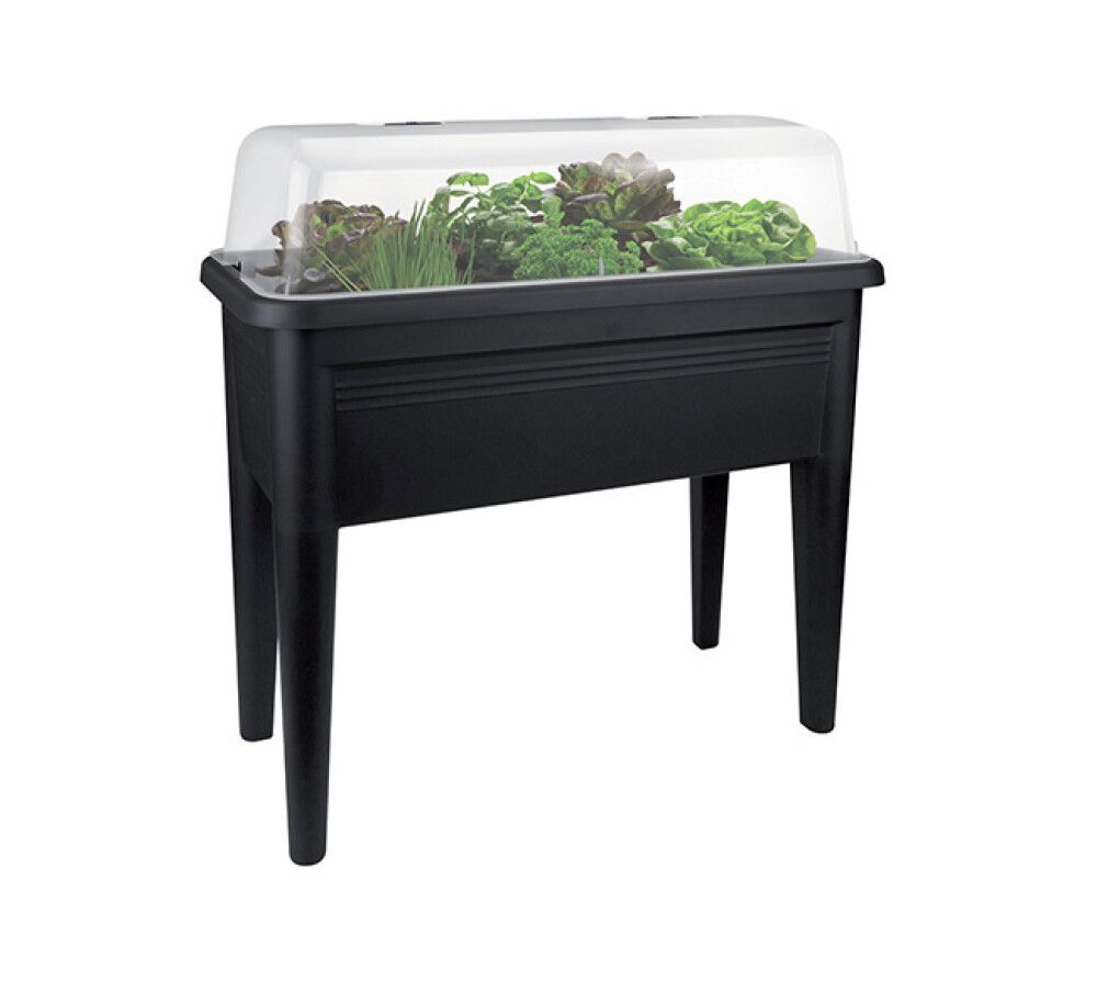 Parvekepuutarha Elho Green Basics XXL antrasiitti