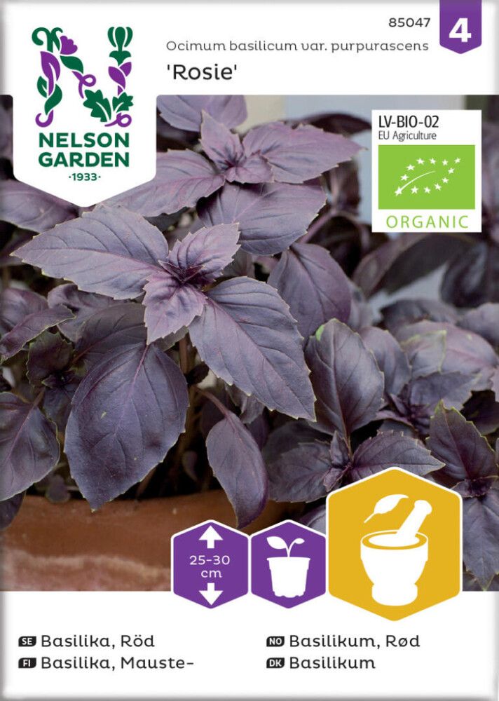 Basilika Nelson Garden Rosie