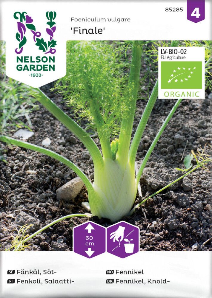 Fenkoli Nelson Garden Finale