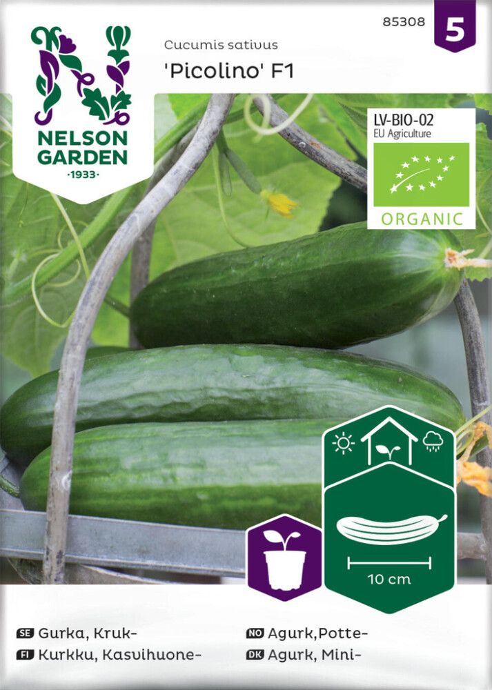 Kurkku Nelson Garden Picolino