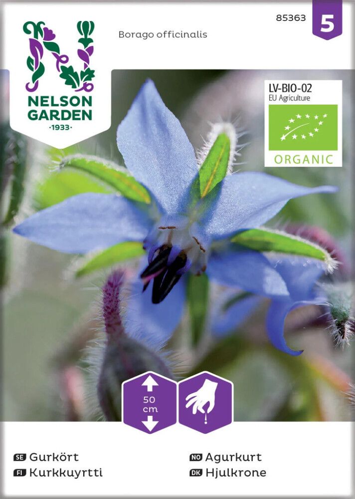 Kurkkuyrtti Nelson Garden