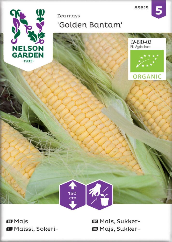 Sokerimaissi Nelson Garden Golden Bantam