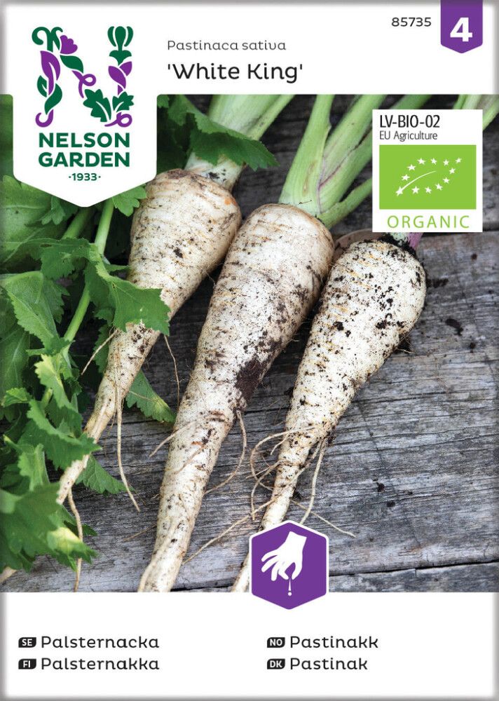 Palsternakka Nelson Garden White King