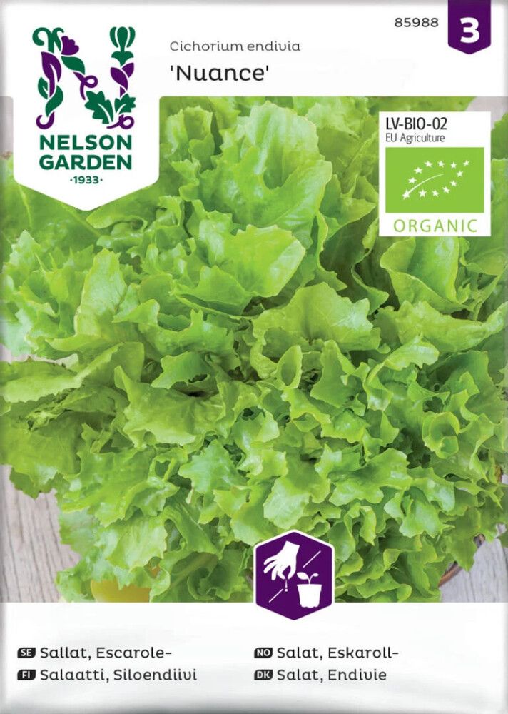 Salaatti Nelson Garden Siloendiivi Nuance