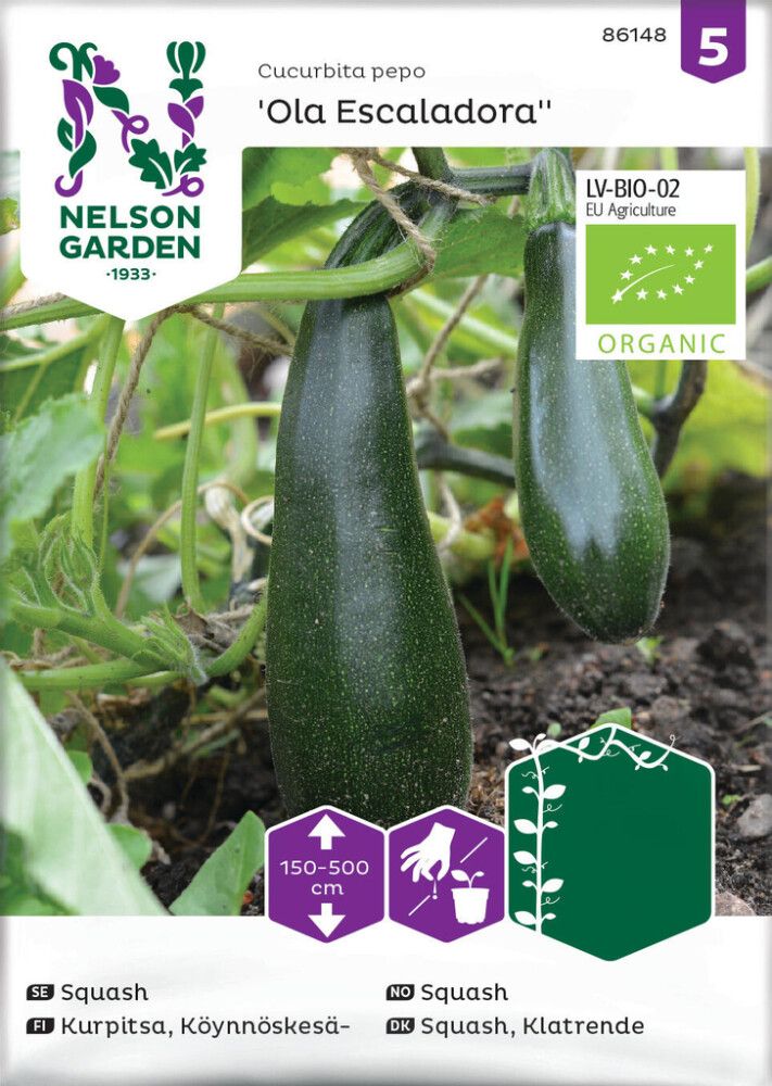 Köynnöskesäkurpitsa Nelson Garden Ola Escaladora