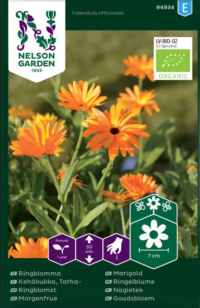 Tarhakehäkukka Nelson Garden