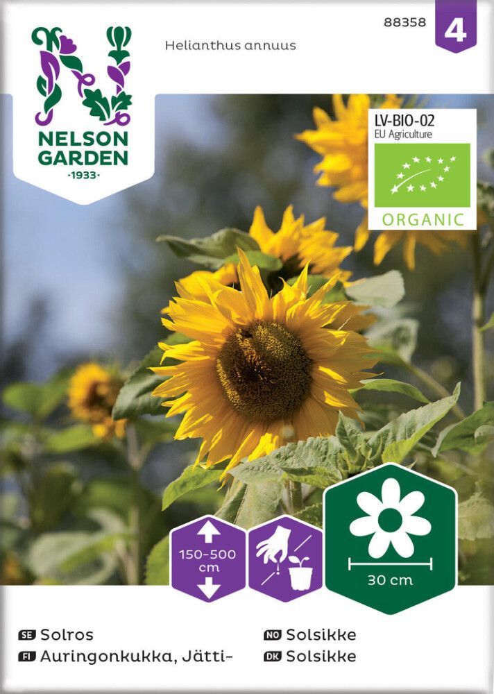 Aurinkonkukka Nelson Garden Jätti