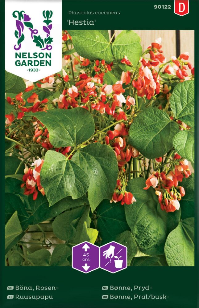 Ruusupapu Nelson Garden Hestia