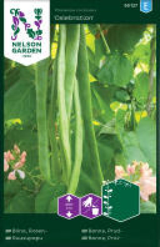 Ruusupapu Nelson Garden Celebration